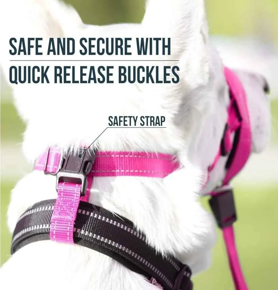 Brand New - Good Boy Dog Head Halter - Size 3 image indicator(5)