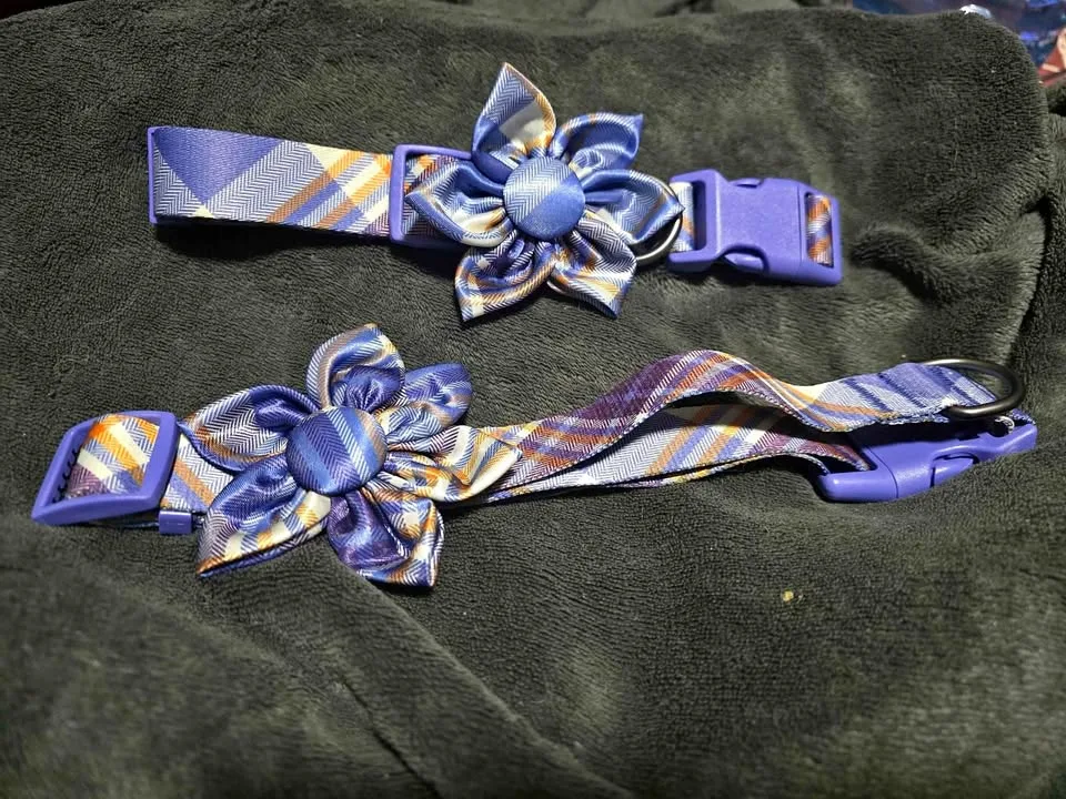 Brand New XL Dog Collar with Bow Tie