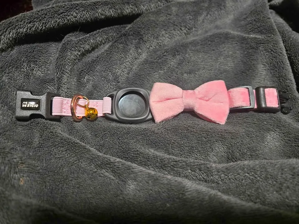 Brand New - Car Collar with Airtag holder - Size XS