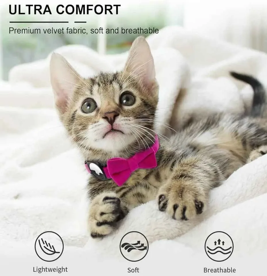 Brand New - Car Collar with Airtag holder - Size XS image indicator(5)