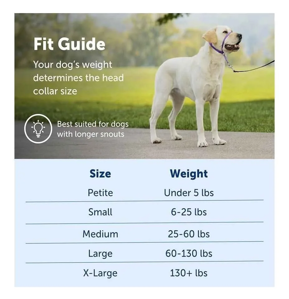 PetSafe Gentle Leader No-Pull Dog Headcollar - Petite image indicator(2)