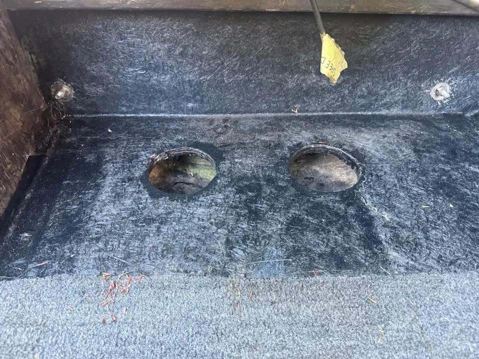 1979 Sidewinder sidewinder image indicator(9)