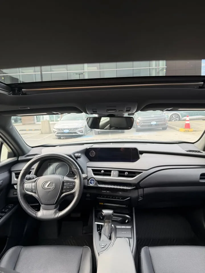 2019 Lexus UX250H image indicator(2)