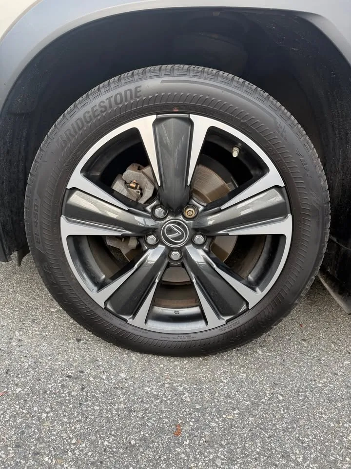 2019 Lexus UX250H image indicator(3)