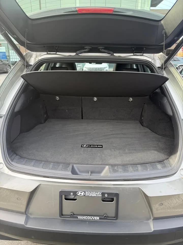 2019 Lexus UX250H image indicator(4)