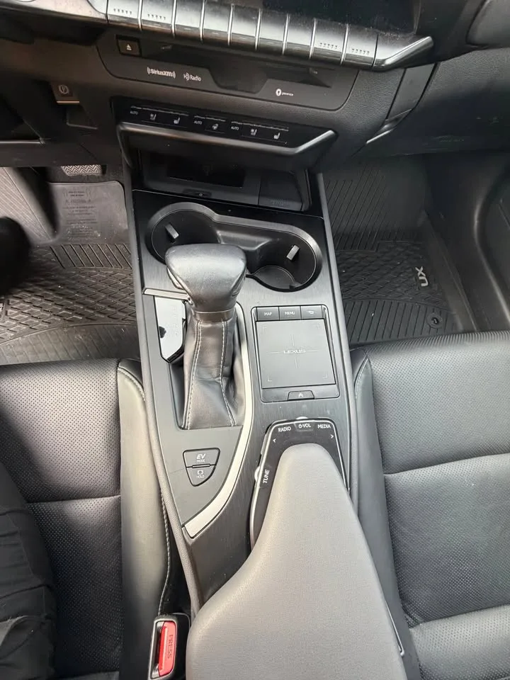 2019 Lexus UX250H image indicator(6)