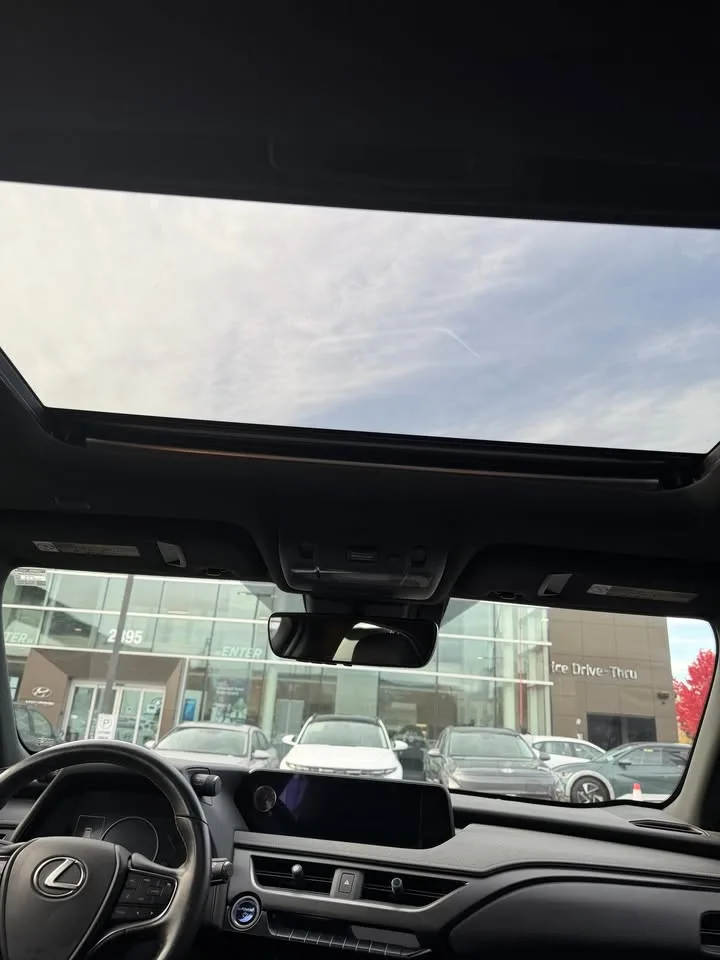 2019 Lexus UX250H image indicator(7)