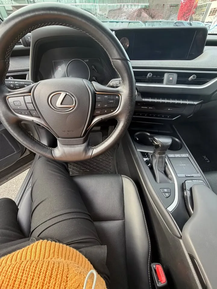 2019 Lexus UX250H image indicator(8)