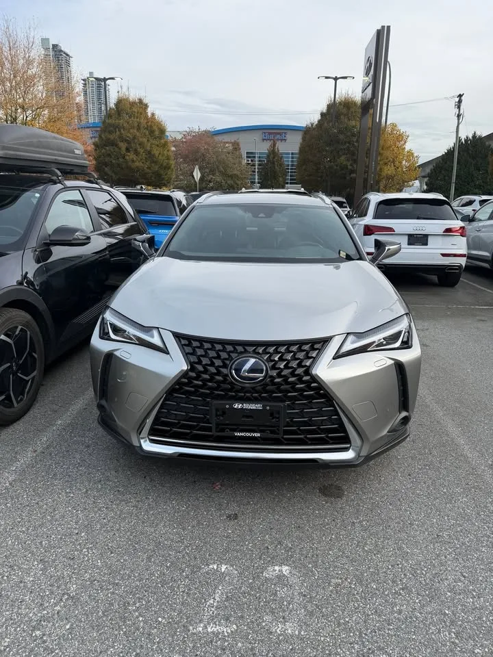 2019 Lexus UX250H image indicator(9)