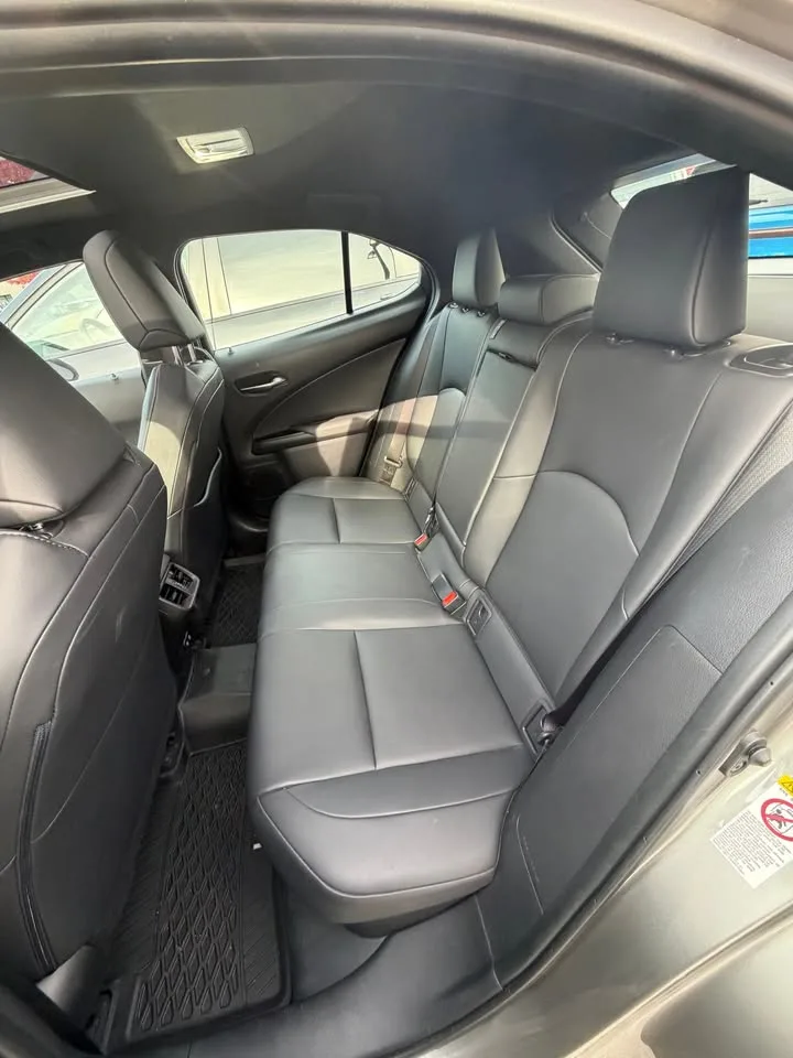 2019 Lexus UX250H image indicator(10)