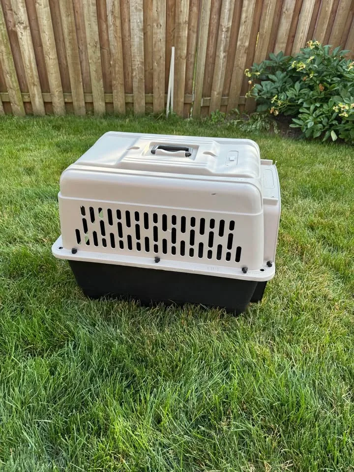 Dog Crate-plastic travelling crate image indicator(3)