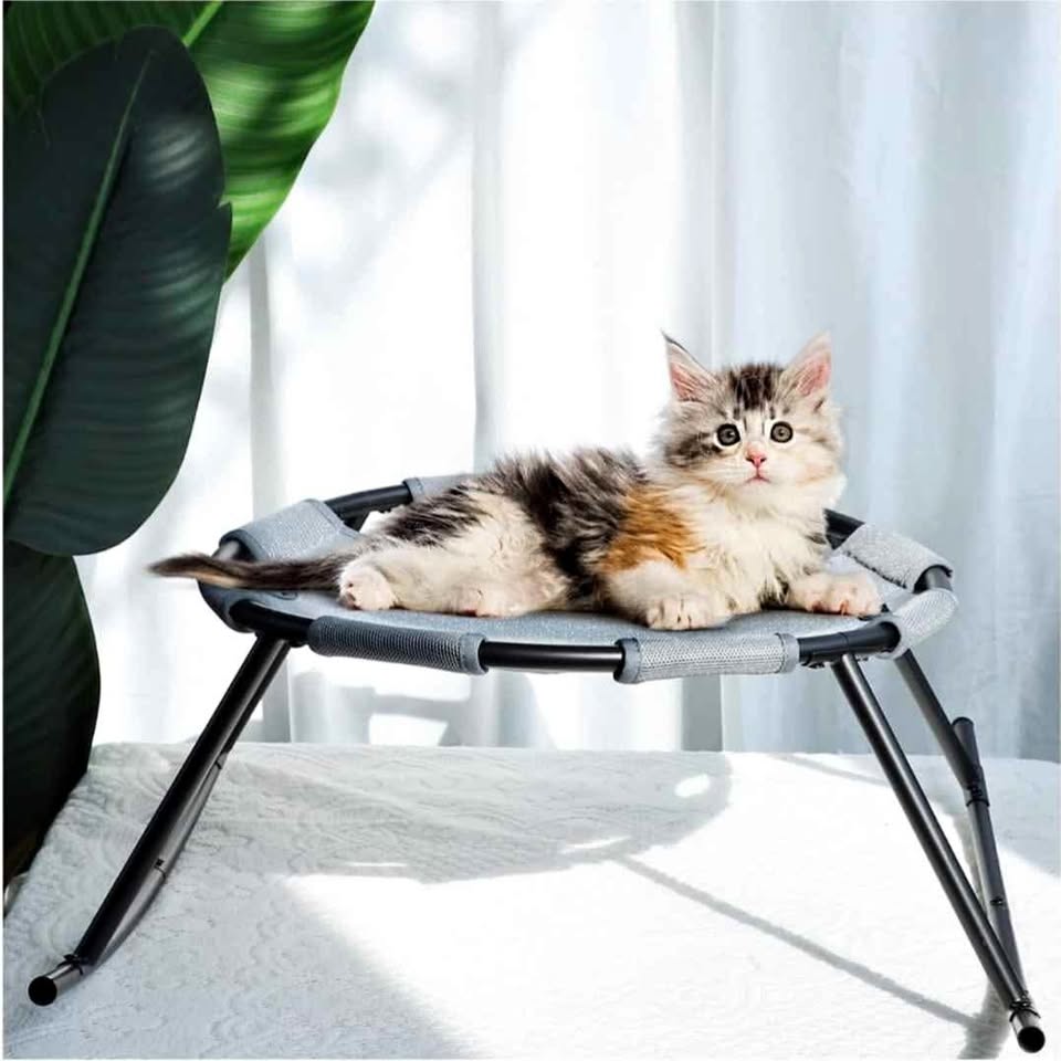 Elevated Pet Bed