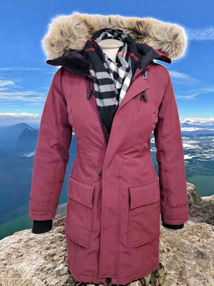 TNA Aritzia Goose Down Winter Jacket -30°C