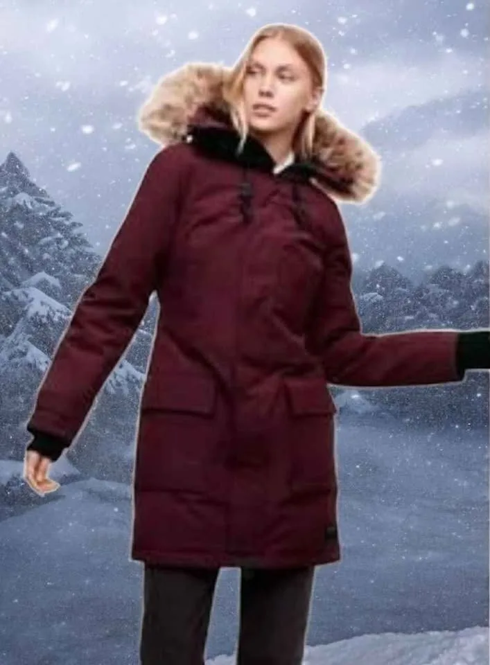 TNA Aritzia Goose Down Winter Jacket -30°C image indicator(5)