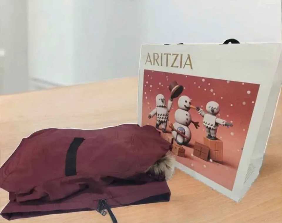 TNA Aritzia Goose Down Winter Jacket -30°C image indicator(7)