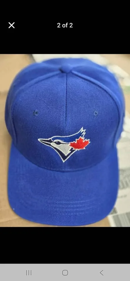 Blue jays hat image indicator(2)