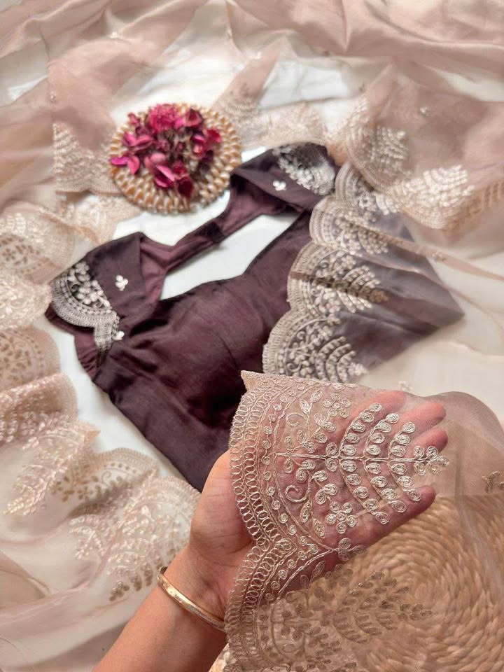 Beautiful partywear saree