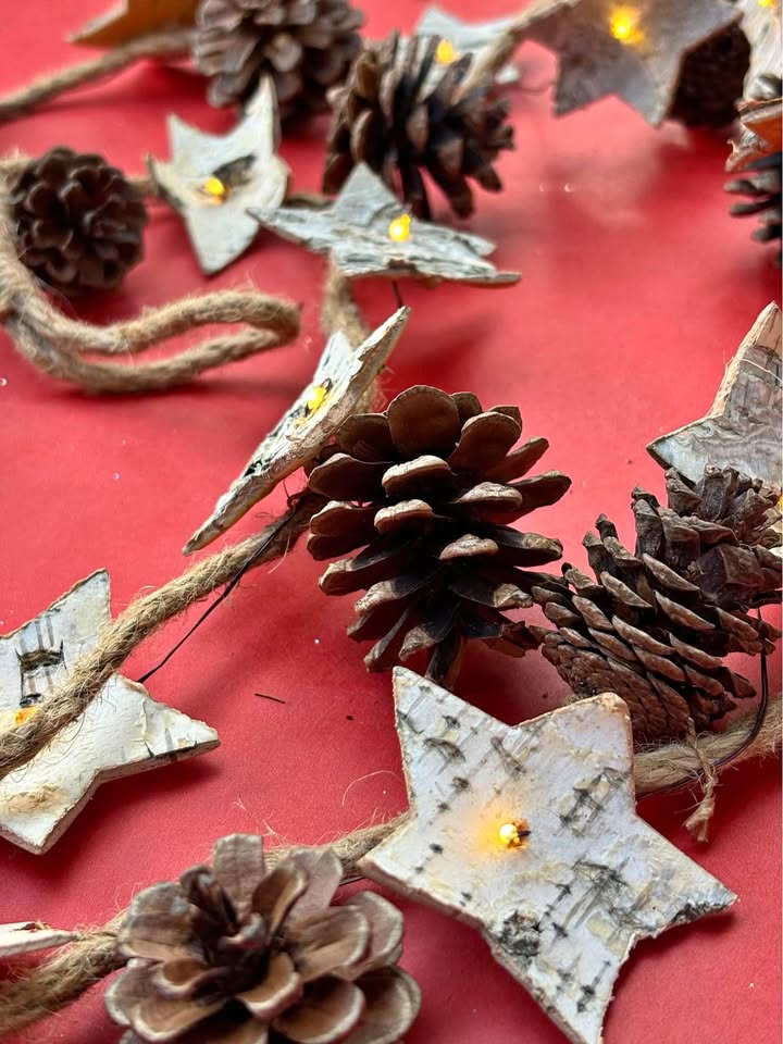 Rustic Holiday String Lights Pinecones & Stars 6 Ft Like New