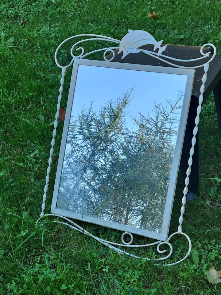 Vintage French iron mirror
