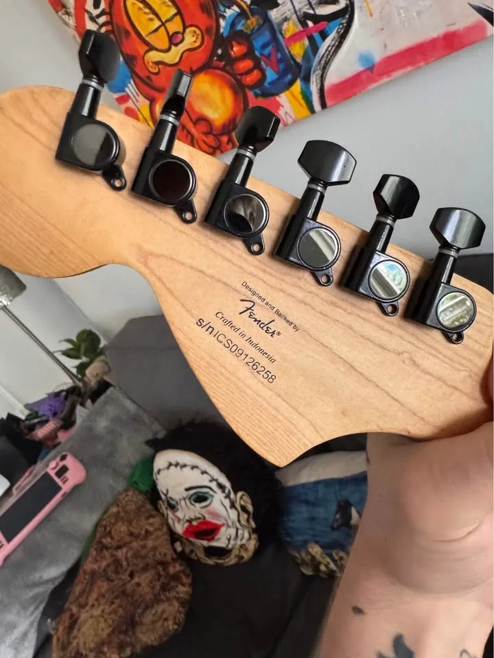 Partscaster strat image indicator(3)