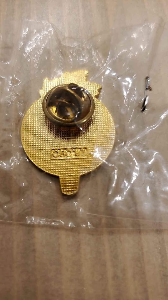 1998 Nagano CBC Sports Pin- only $4 - photo 2