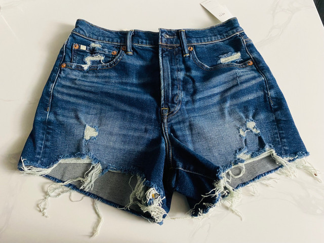AE77 Denim Mom Short (American Eagle)