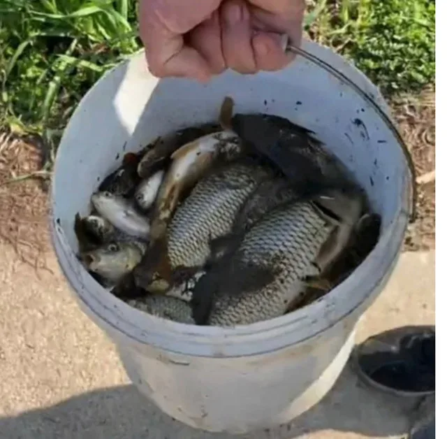 Power inverter image indicator(5)