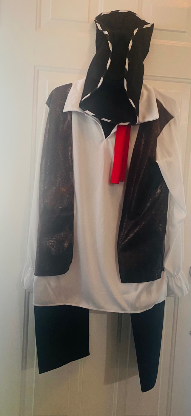 Adult’s Pirate Costume! Size L - photo 4