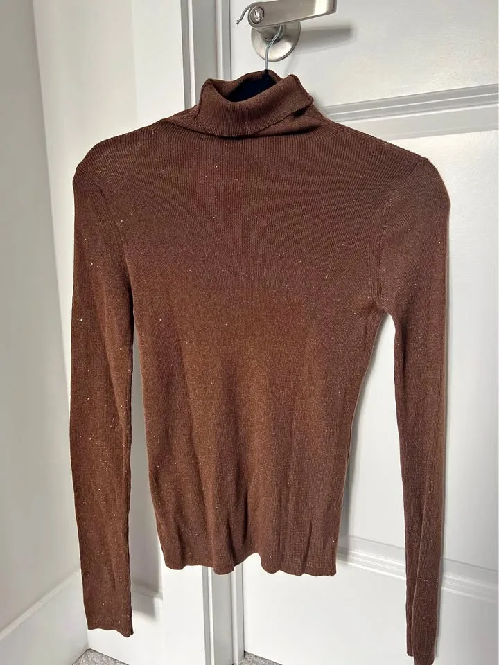 Brown Sparkly Turtleneck (Brand New)