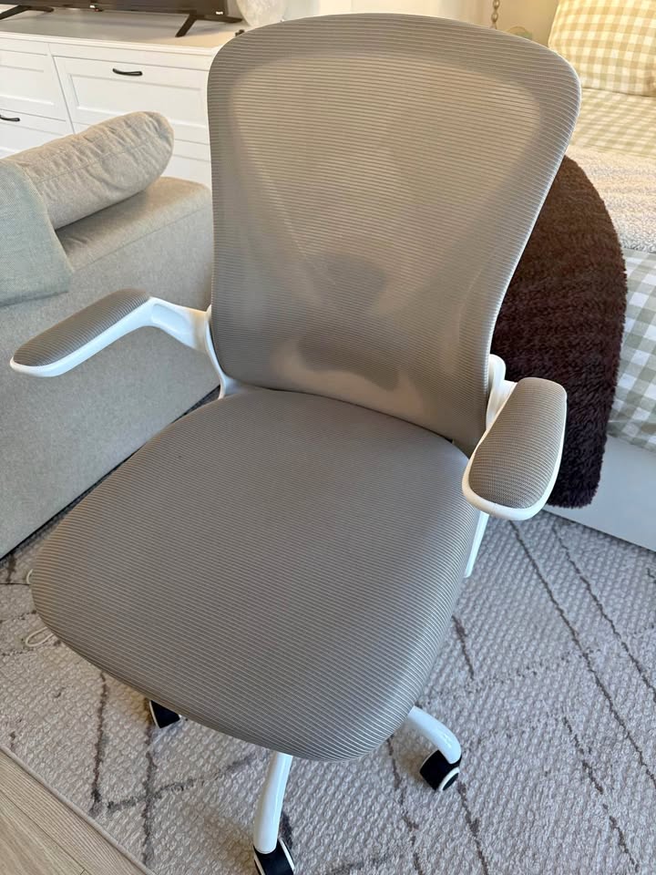 Ergonomic Desk Chair