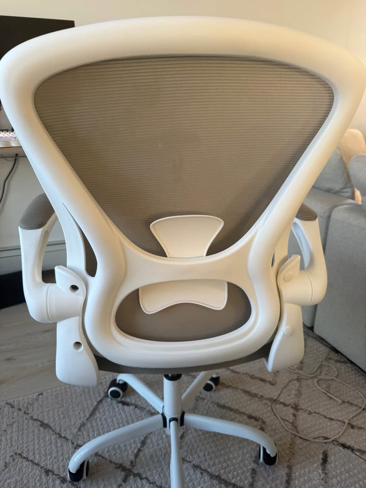 Ergonomic Desk Chair - photo 2
