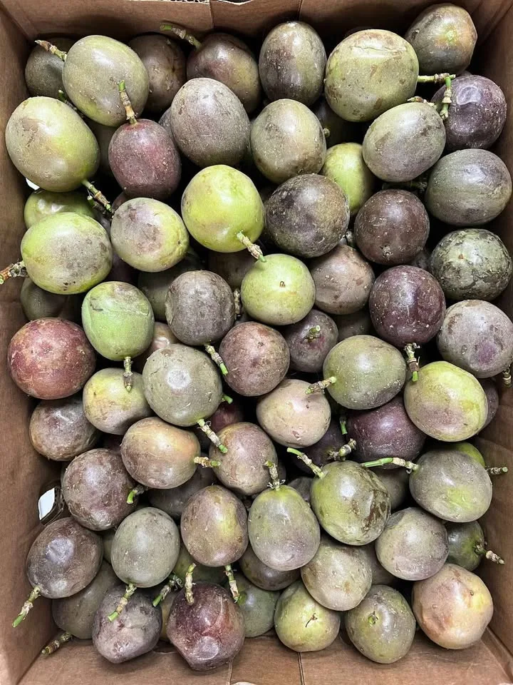 Matooke(African fresh food) image indicator(3)