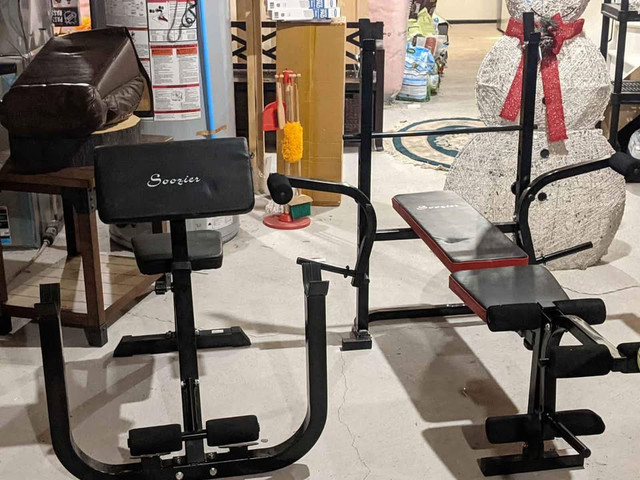 Workout Bench / Incline / Decline / Preacher Curl / Roman Chair