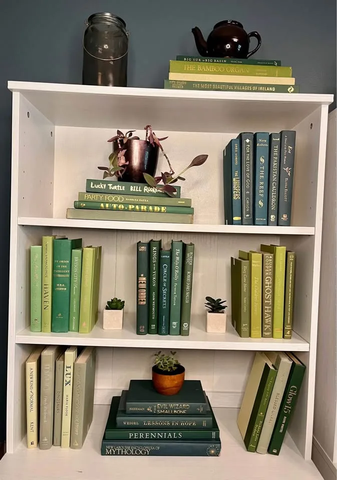 You Choose Color Decorative Books image indicator(8)