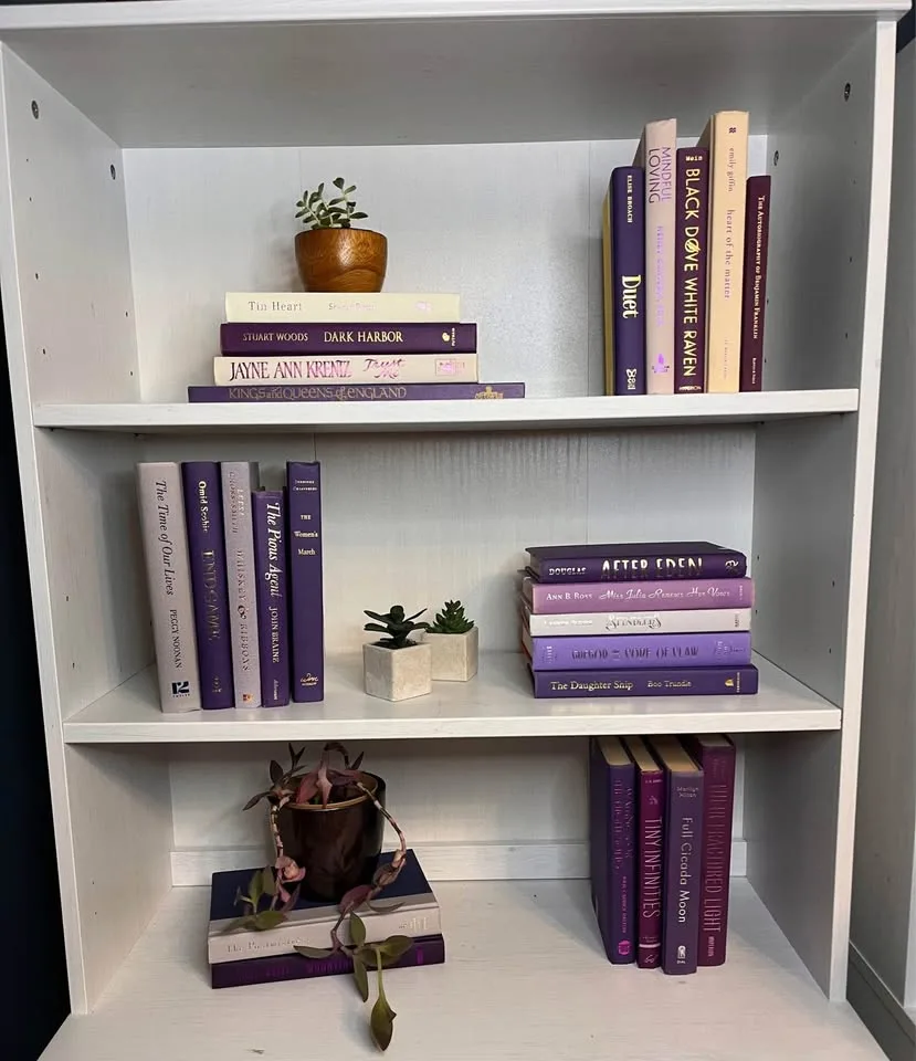 You Choose Color Decorative Books image indicator(10)