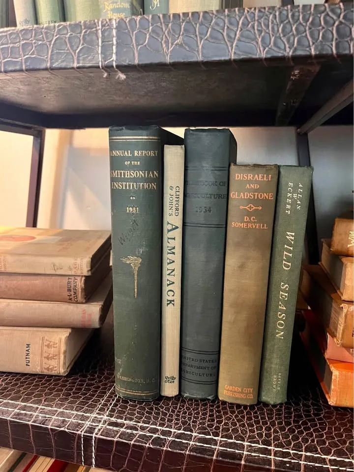 Old Books for Decor image indicator(6)