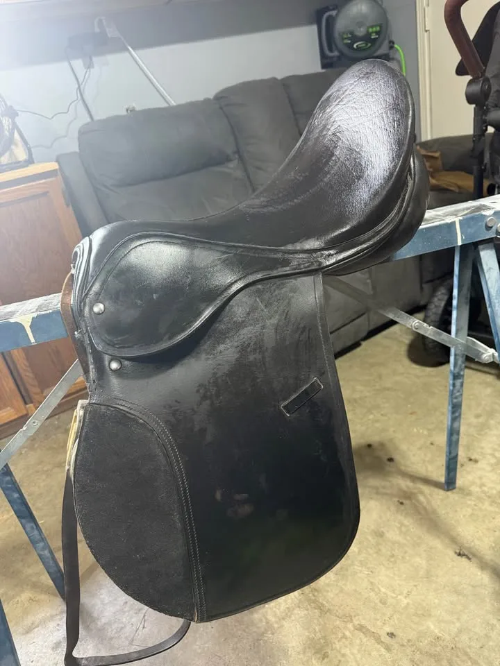 Working hunter saddle image indicator(3)