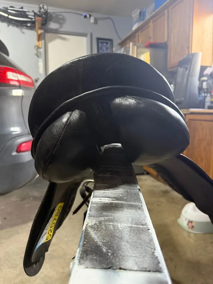 Working hunter saddle image indicator(4)