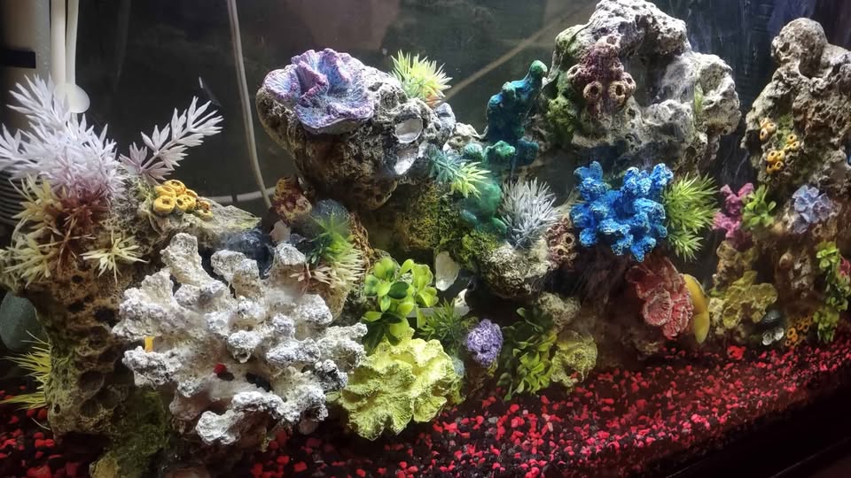 Aquarium 37 Gallon - photo 3