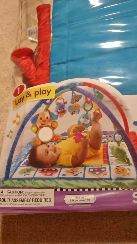 Fisher Price Discovery Gym