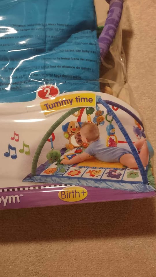Fisher Price Discovery Gym - photo 2