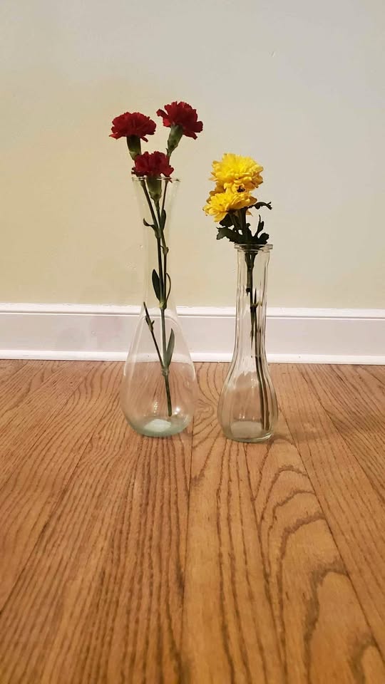 2 Clear Glass Vases