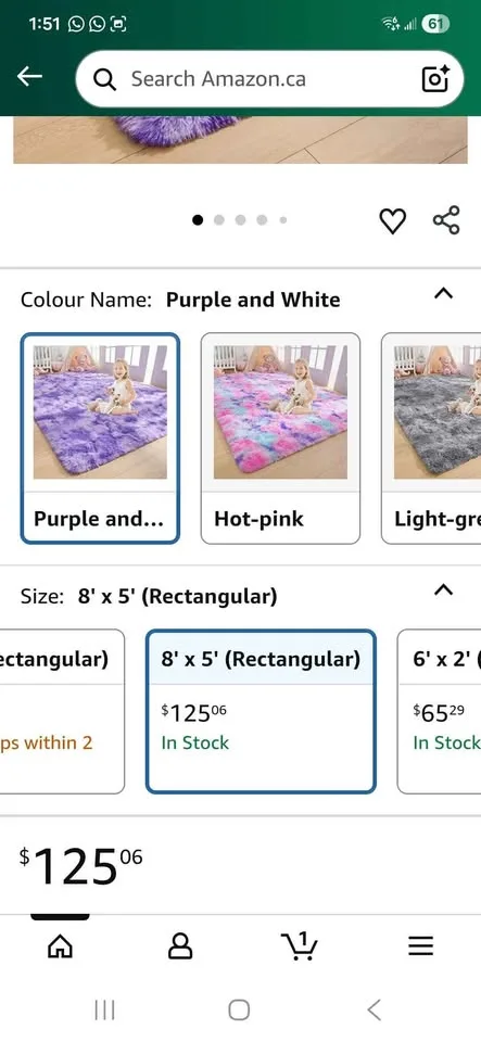 Large Fluffy Area Rug image indicator(2)