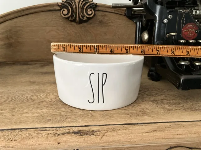 Rae Dunn Pet / Dog Food / Water Bowl Sip