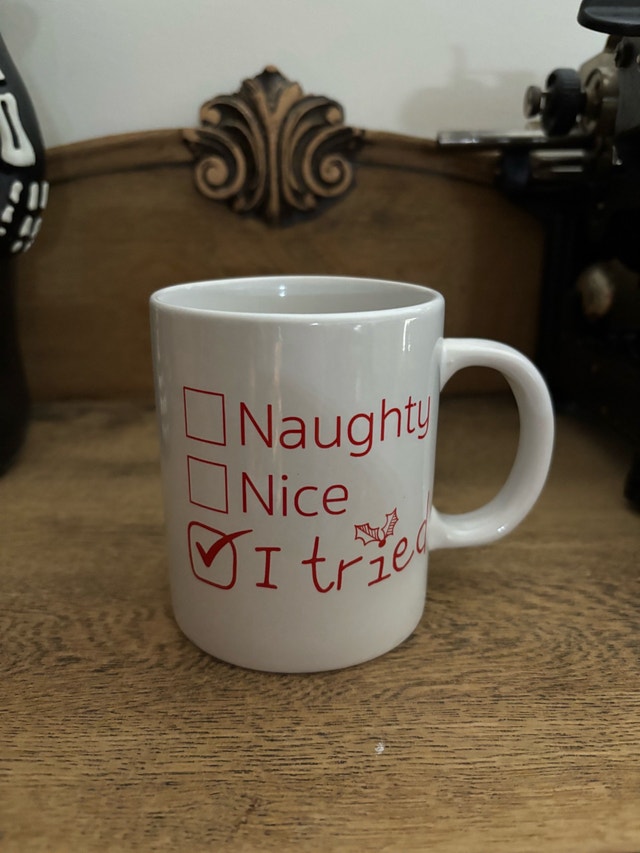 Christmas Naughty Nice I Tried Mug