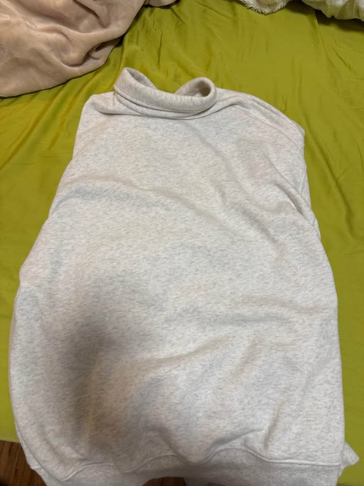Aritzia Polo Boyfriend Airy Sweatshirt - photo 4