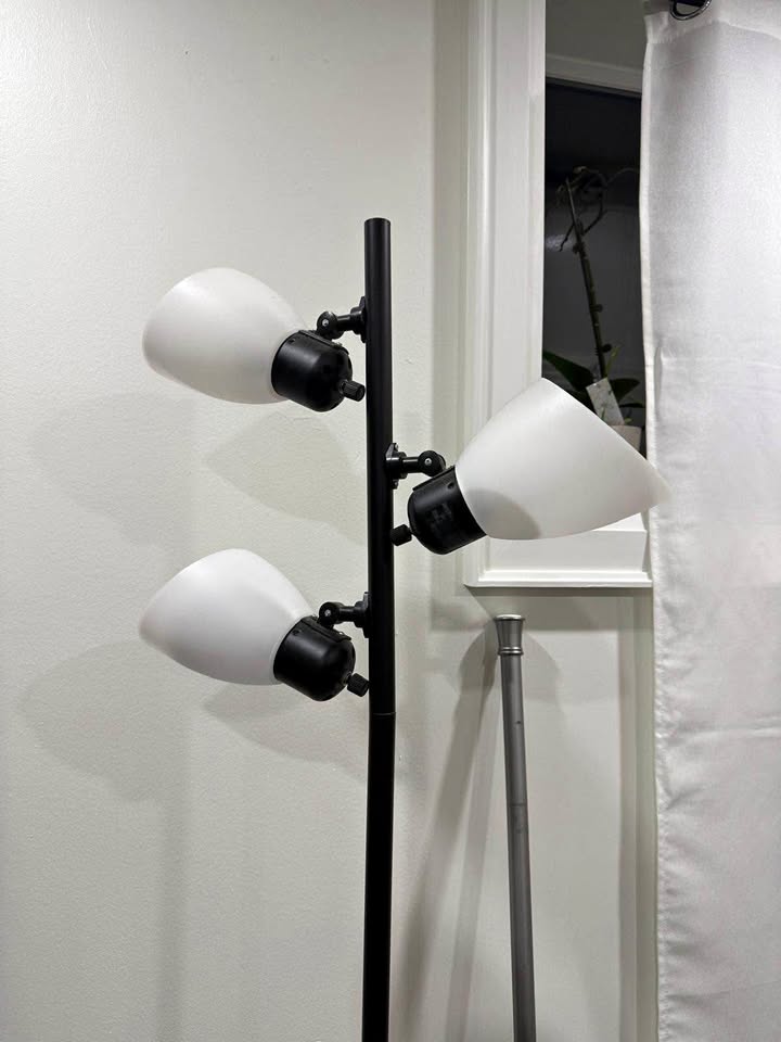 Adjustable light lamp
