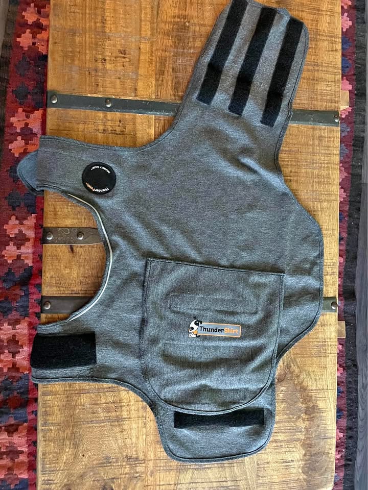 thundershirt - anxiety support for dog
