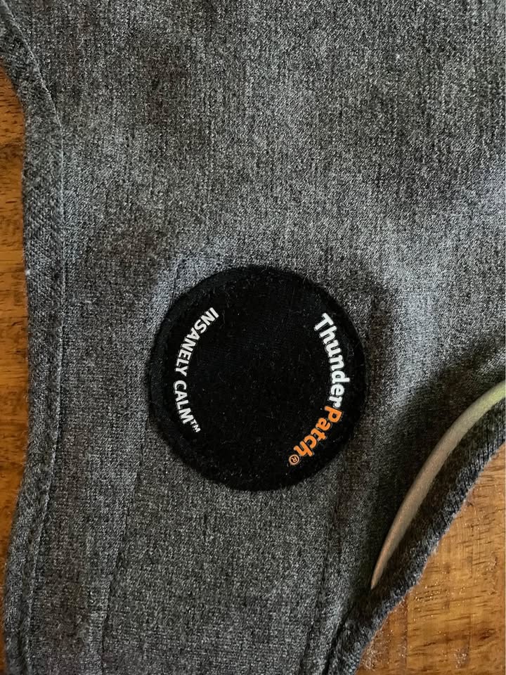 thundershirt - anxiety support for dog - photo 3