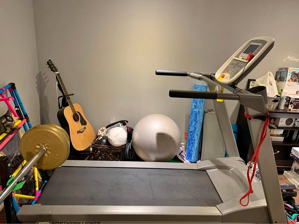 Northern Lights TD-195 treadmill